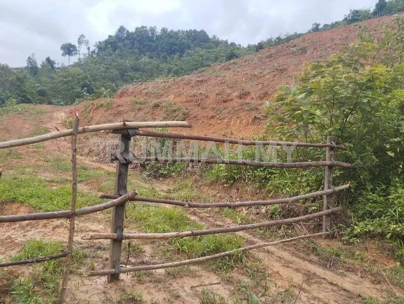 Land for sale in Pokok Sena, Kedah - Kebun Getah, Telok Datu, Pokok Sena, Kedah