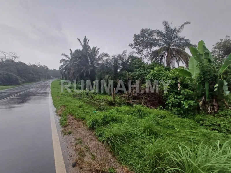 land in Jeniang, Kedah — photo 2