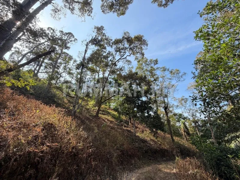 land in Bandar Baharu, Kedah — photo 2