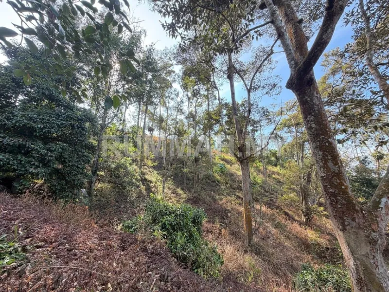 land in Bandar Baharu, Kedah — photo 3