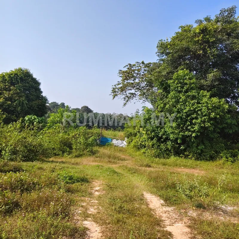 land in Kulim, Kedah — photo 3