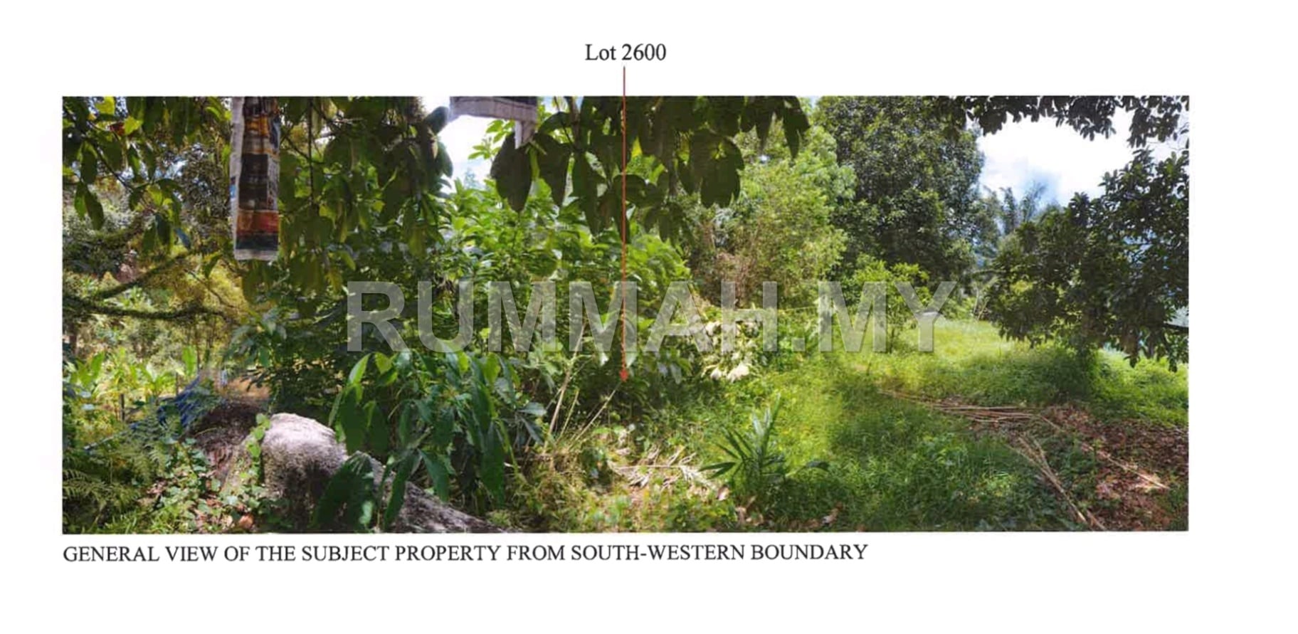 land in Penang — photo 3