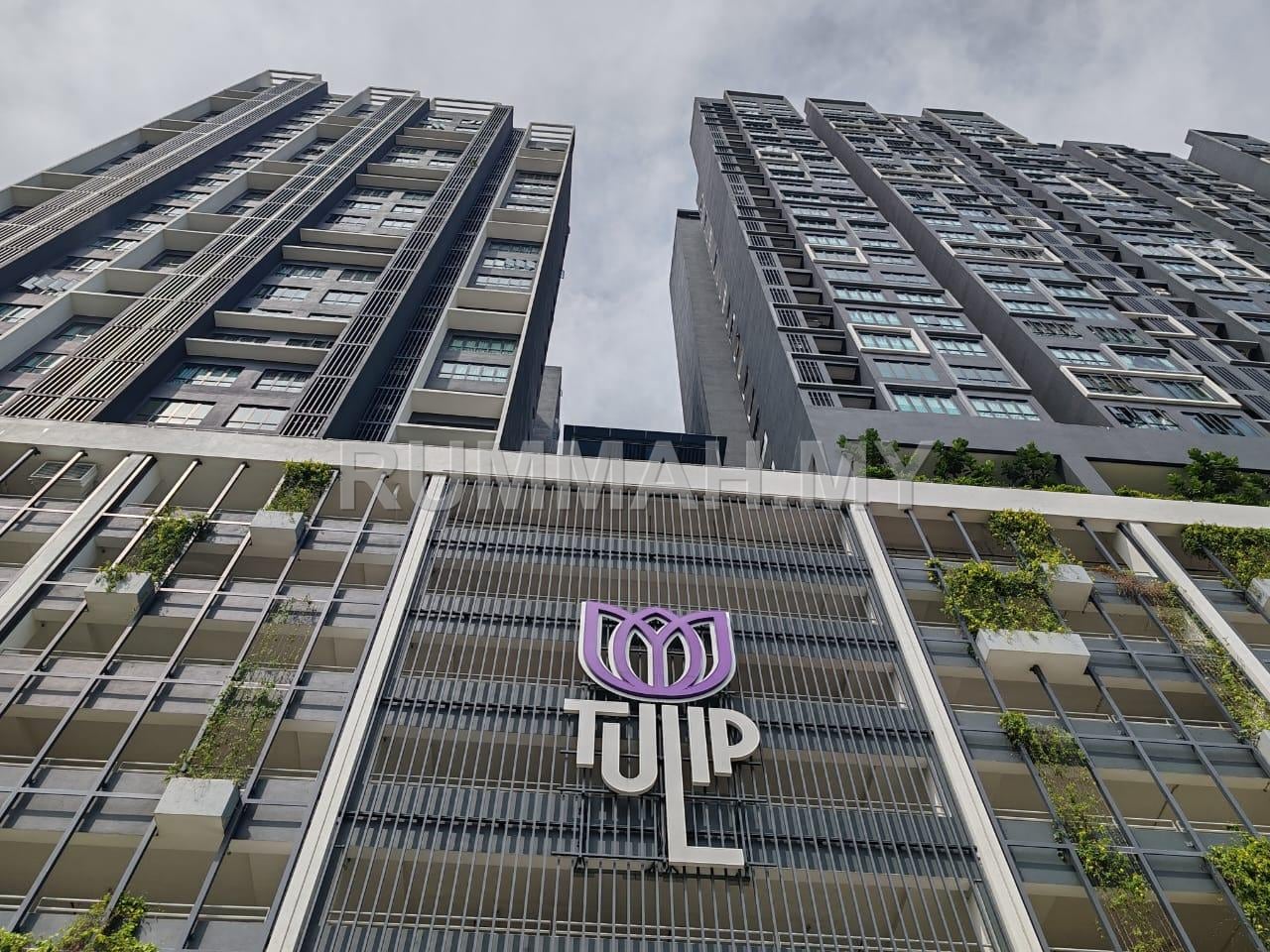 commercial in Tulip Residence, Selangor for sale - Ground Floor Shop For Sale at Tulip Residence, Elmina City 