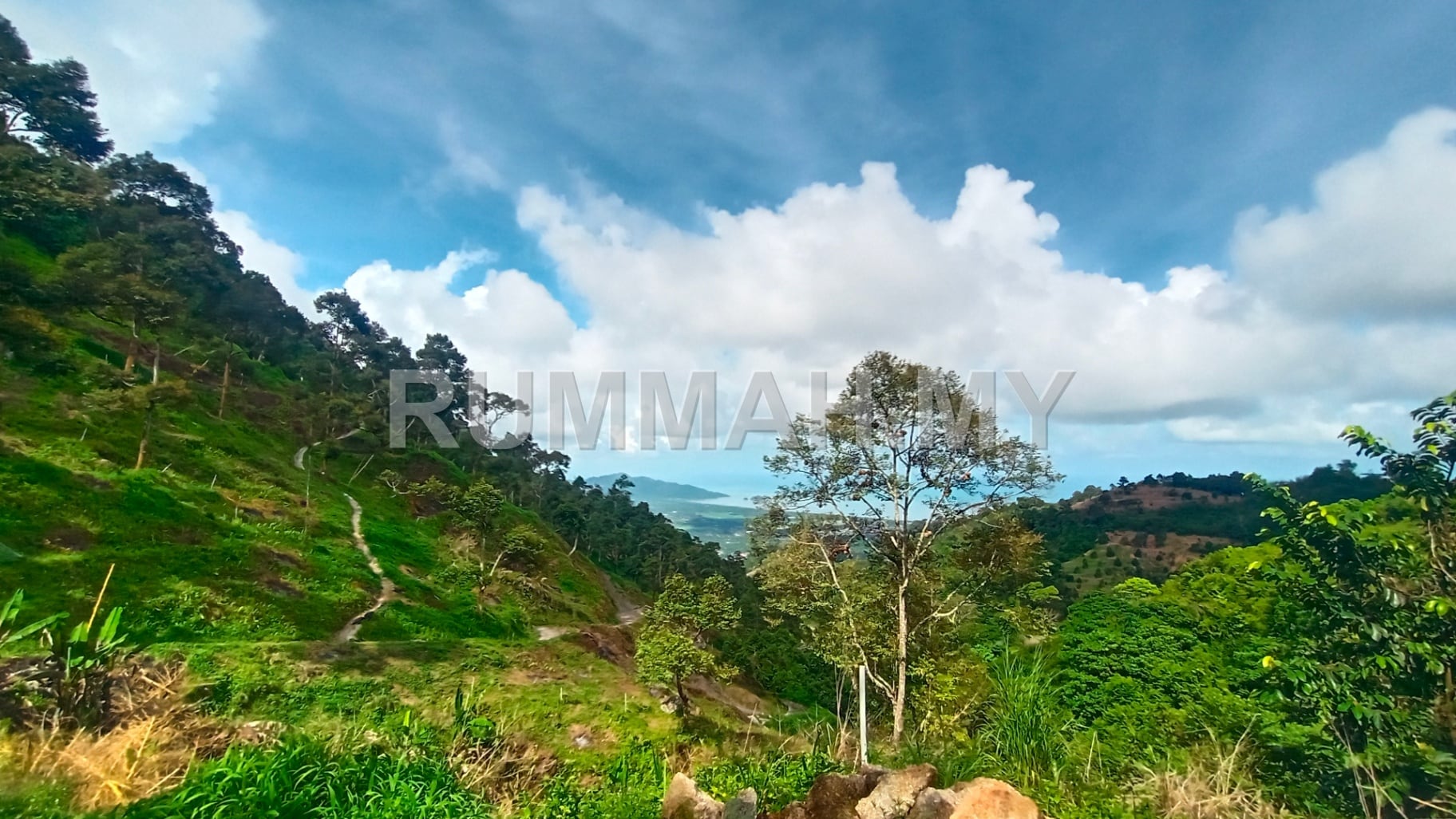 land in Balik Pulau, Penang for sale - 2.6 Acres Hilly Durian Orchard for Sale @ Balik Pulau | Freehold