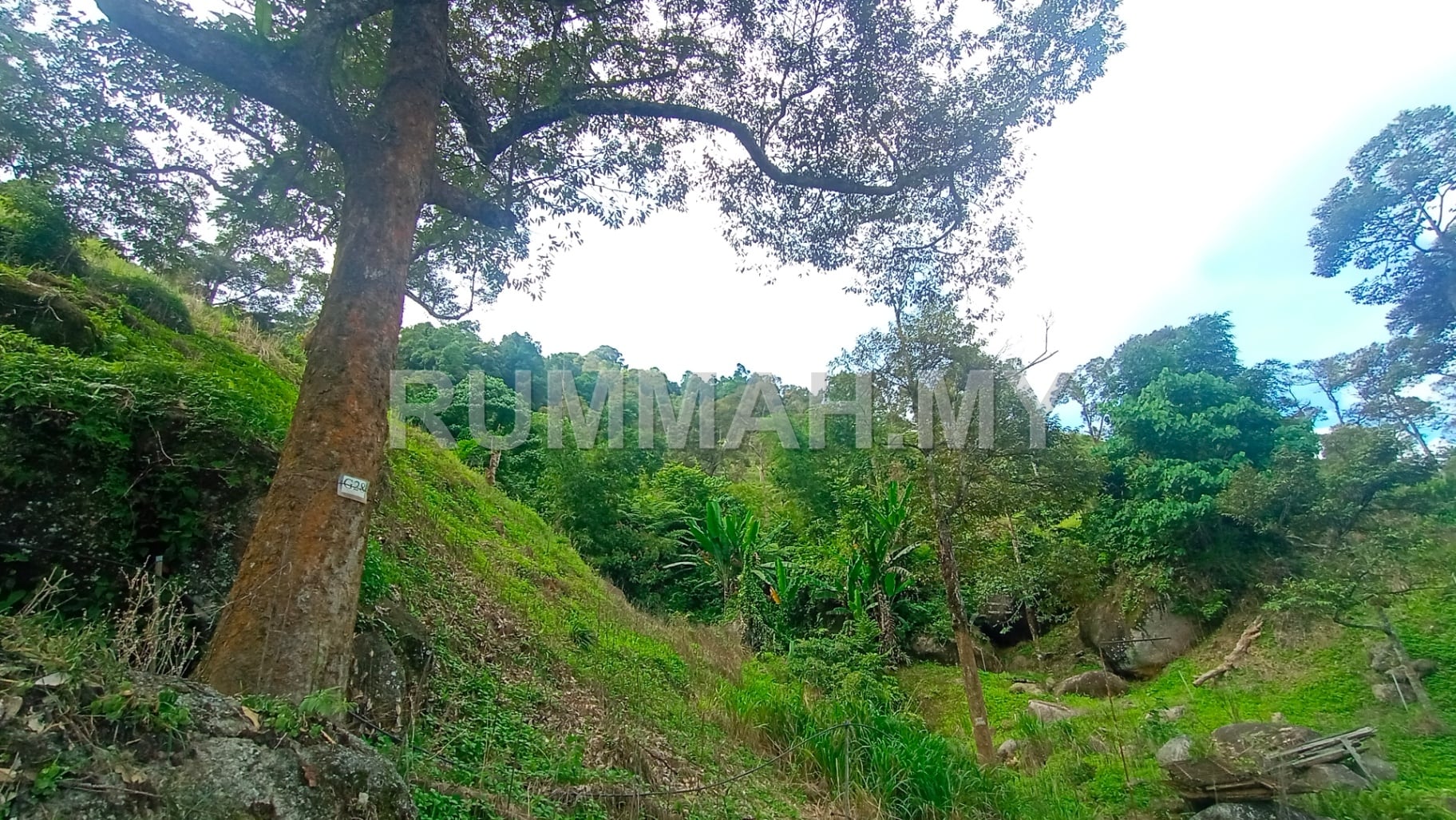 land in Balik Pulau, Penang — photo 4
