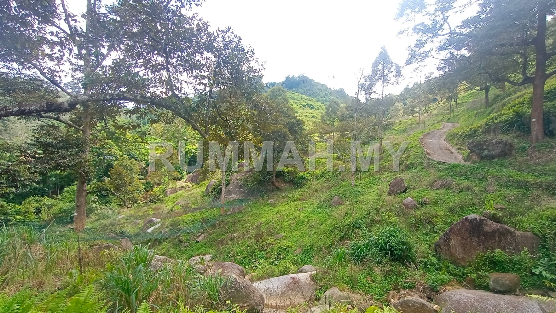 land in Balik Pulau, Penang — photo 5