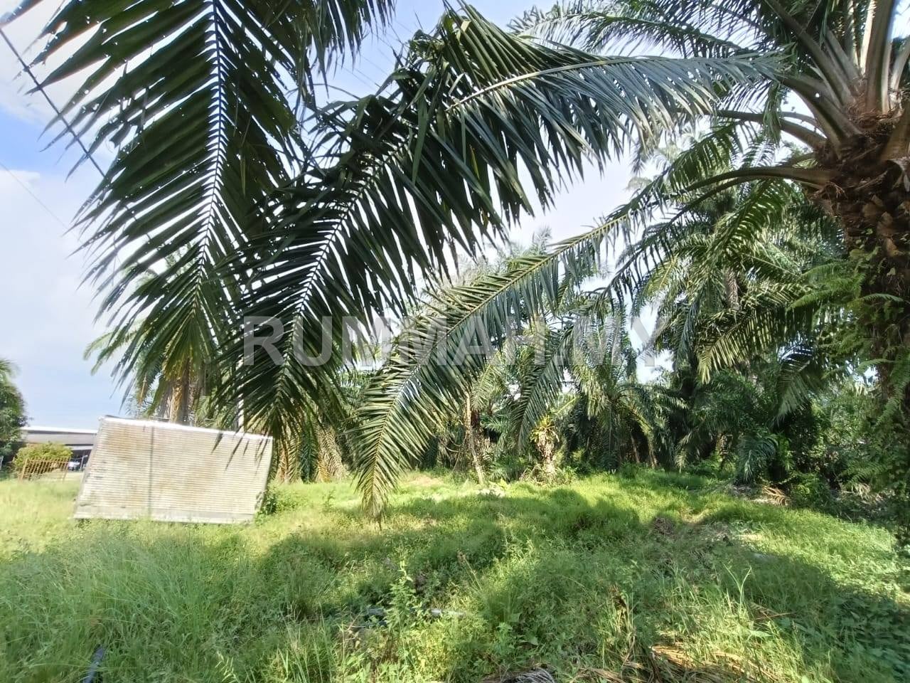 land in Valdor, Penang — photo 2