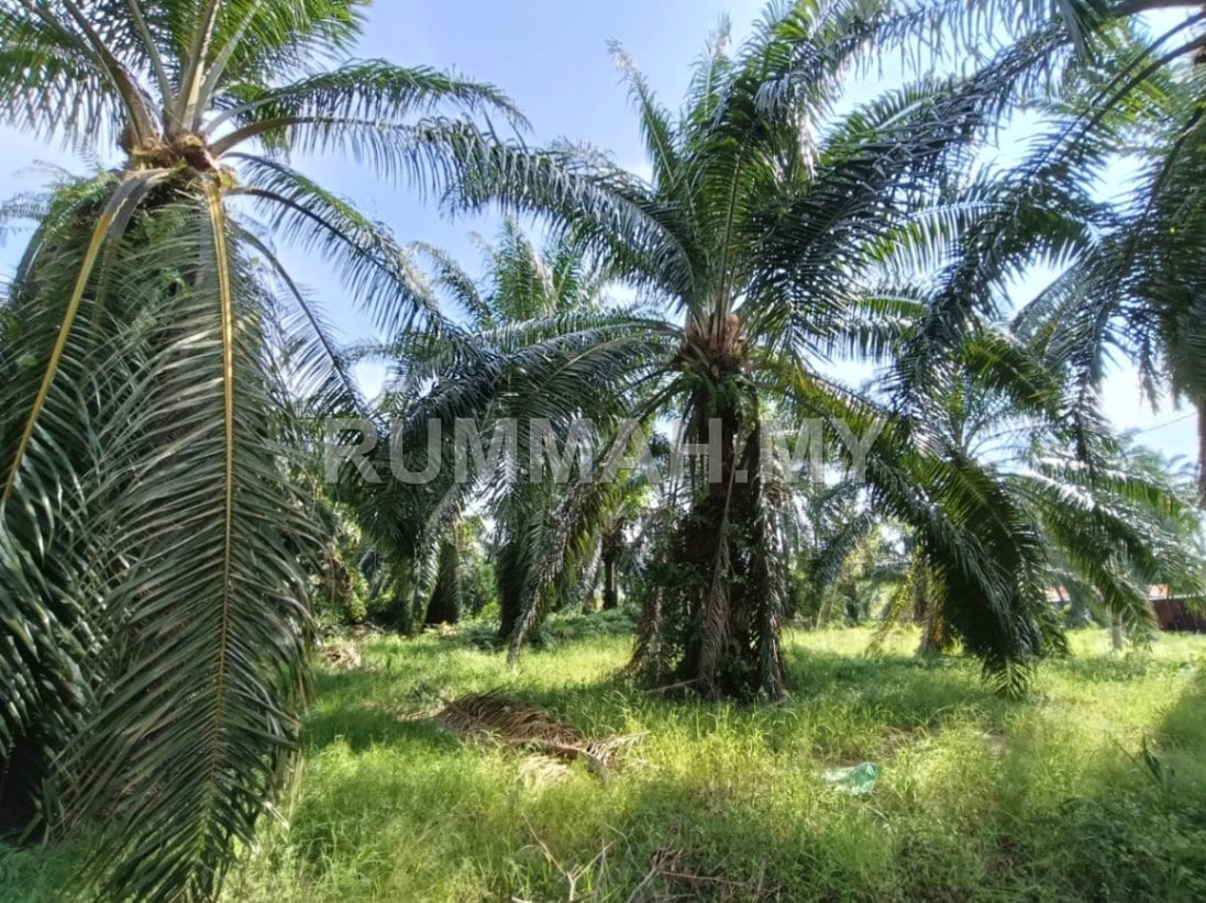 land in Valdor, Penang — photo 3