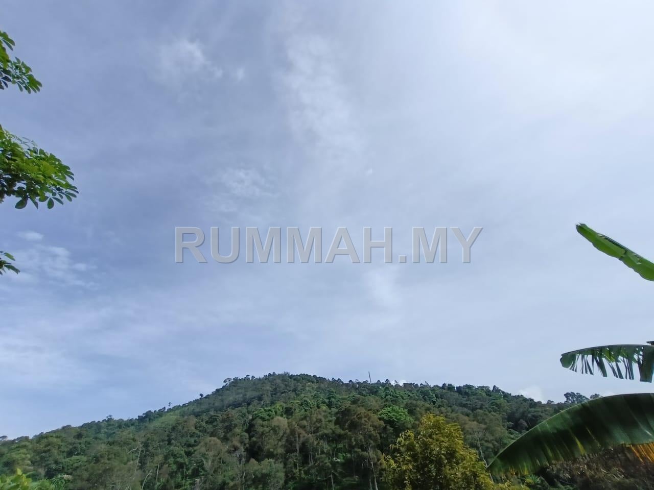 land in Sungai Ara, Penang — photo 5