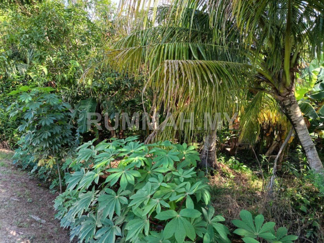 land in PENAGA, Penang — photo 2