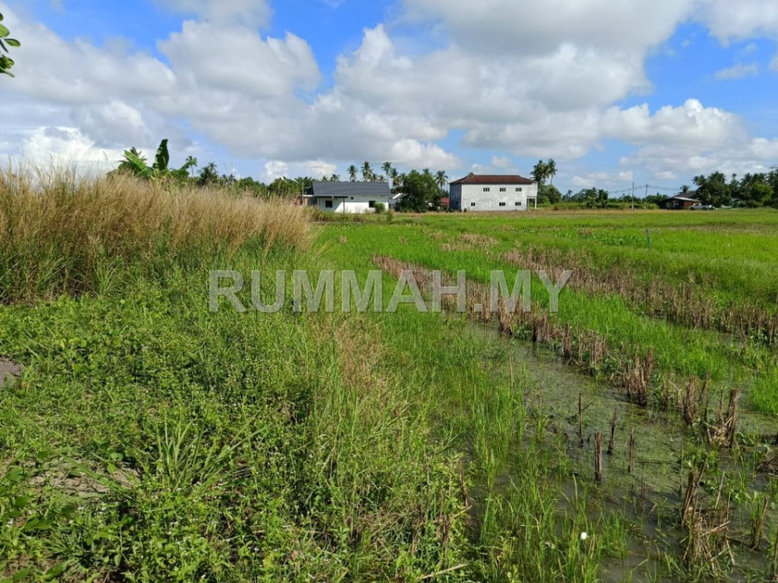 land in PENAGA, Penang — photo 6