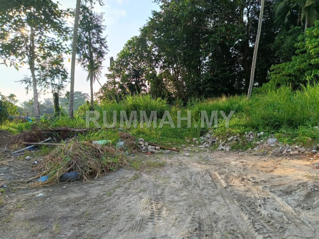 land in Balik Pulau, Penang — photo 4