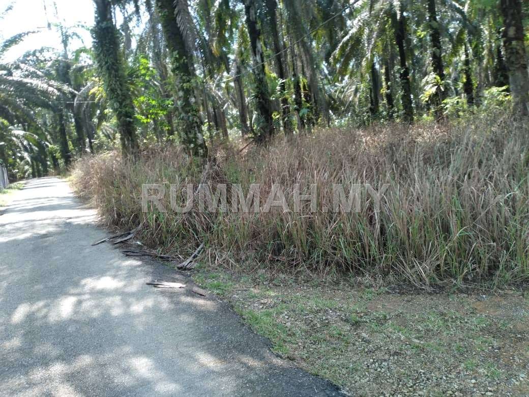 land in Bandar Baharu, Kedah — photo 6