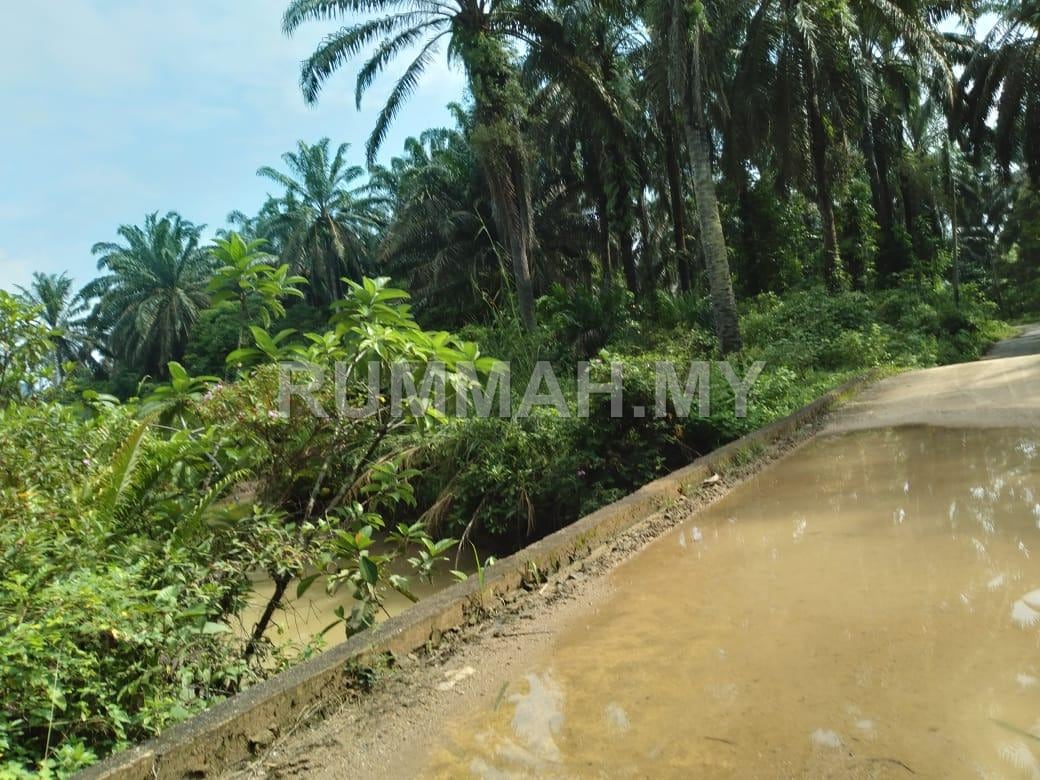 land in Bandar Baharu, Kedah — photo 6