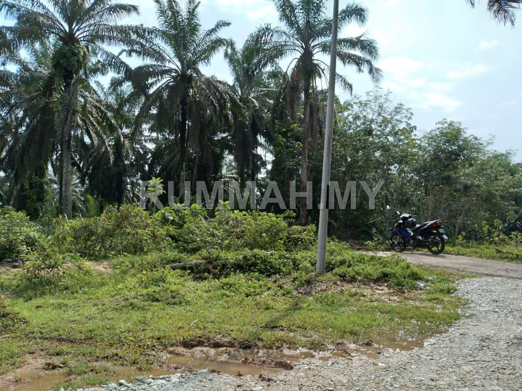 land in Bandar Baharu, Kedah — photo 7