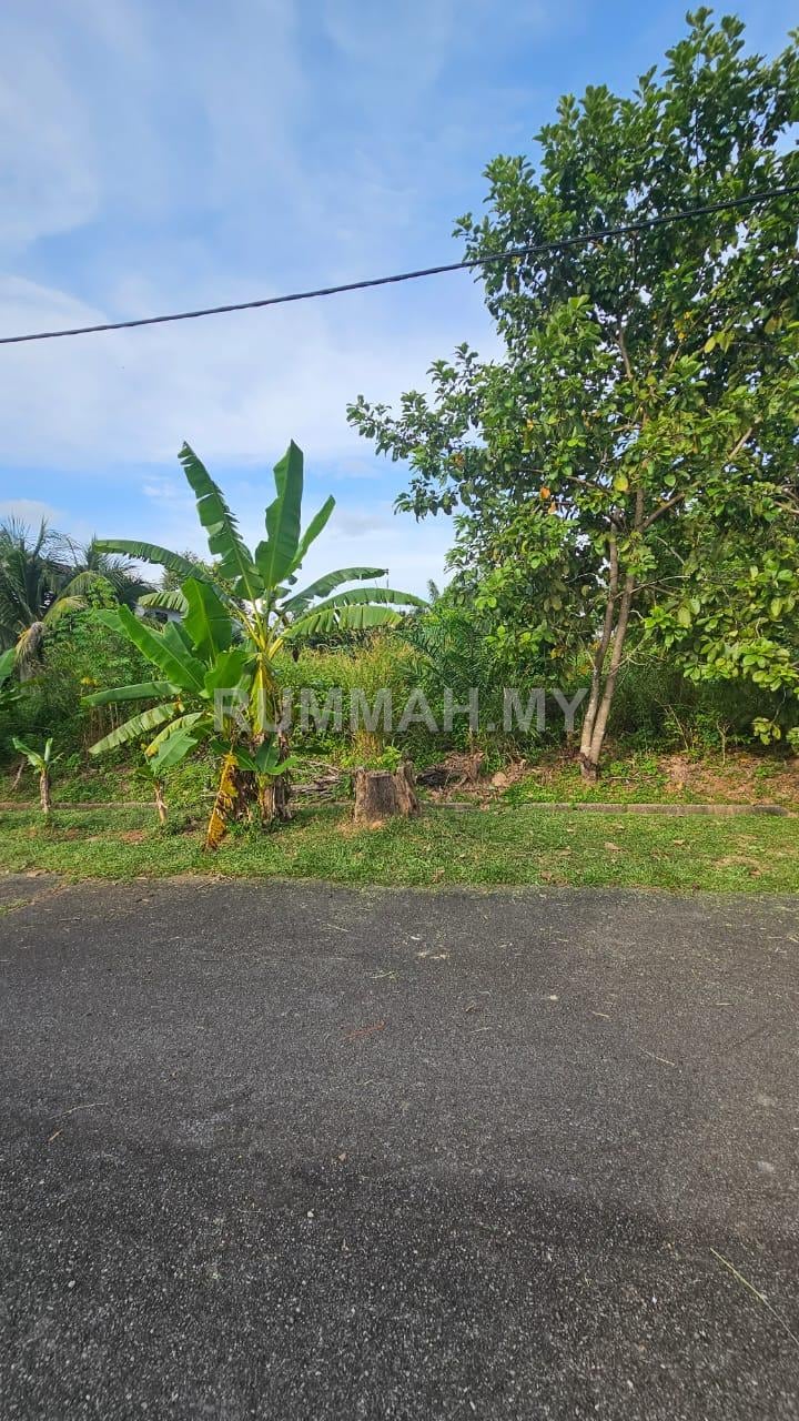 land in Bedong, Kedah — photo 2