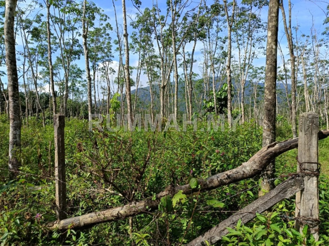 land in Bandar Baharu, Kedah — photo 2