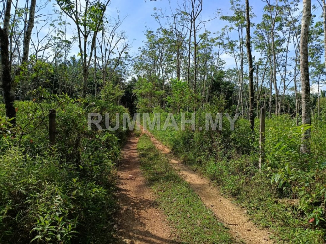 land in Bandar Baharu, Kedah — photo 3
