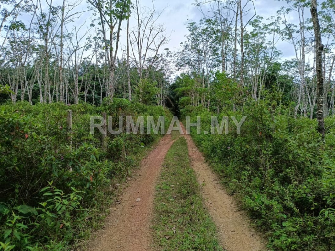 land in Bandar Baharu, Kedah — photo 5