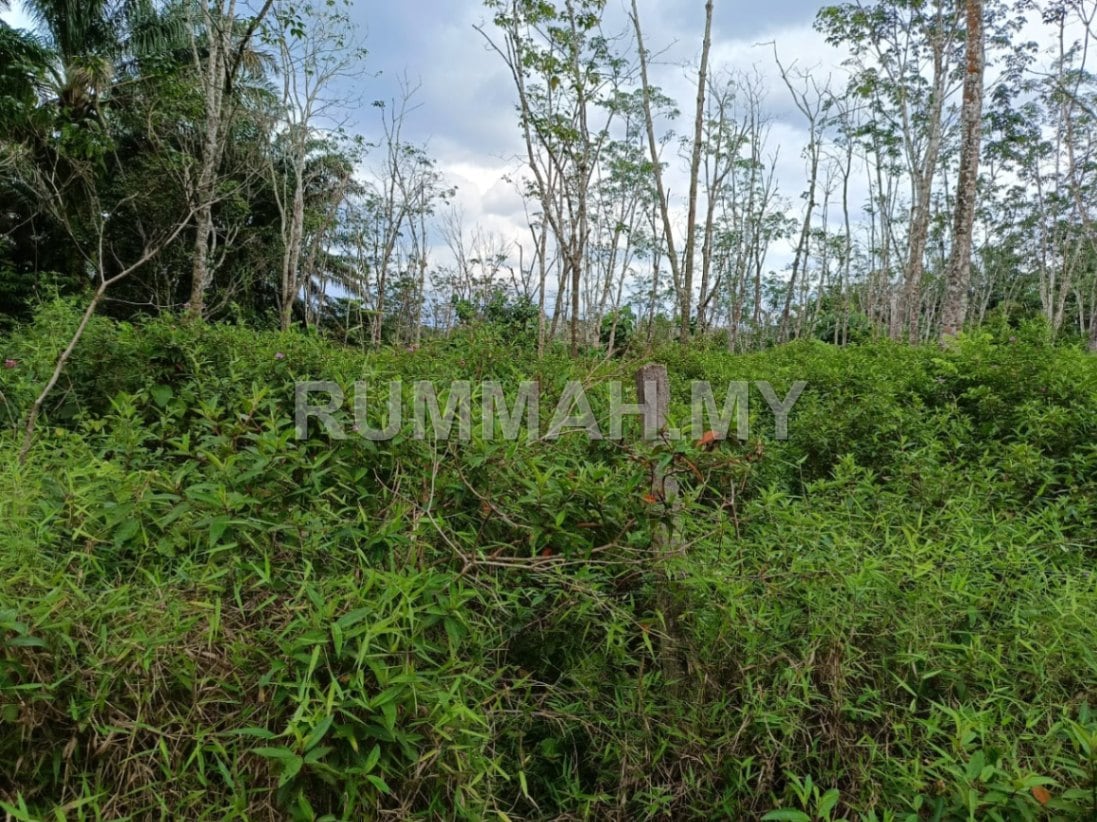land in Bandar Baharu, Kedah — photo 6