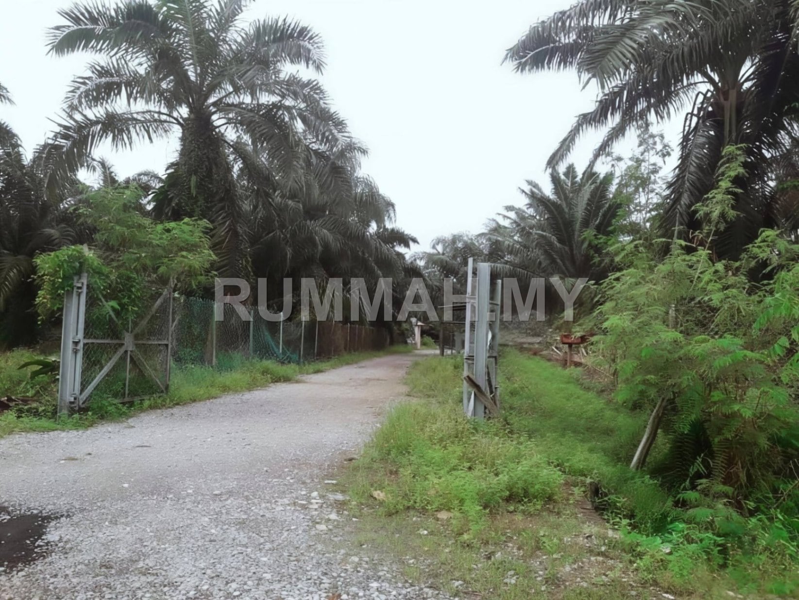 land in Kuala Langat, Selangor for sale - Proposing Land Mukim Kelanang, Jalan Gelanggang Buaya, Kuala Langat Selangor For Sale