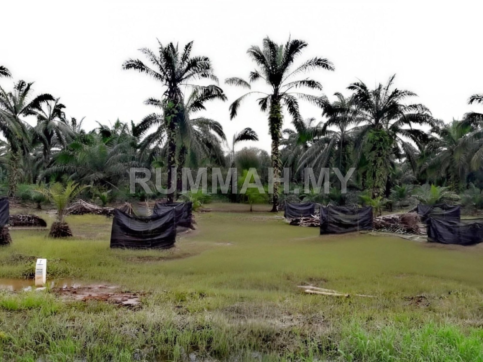 land in Kuala Langat, Selangor — photo 3