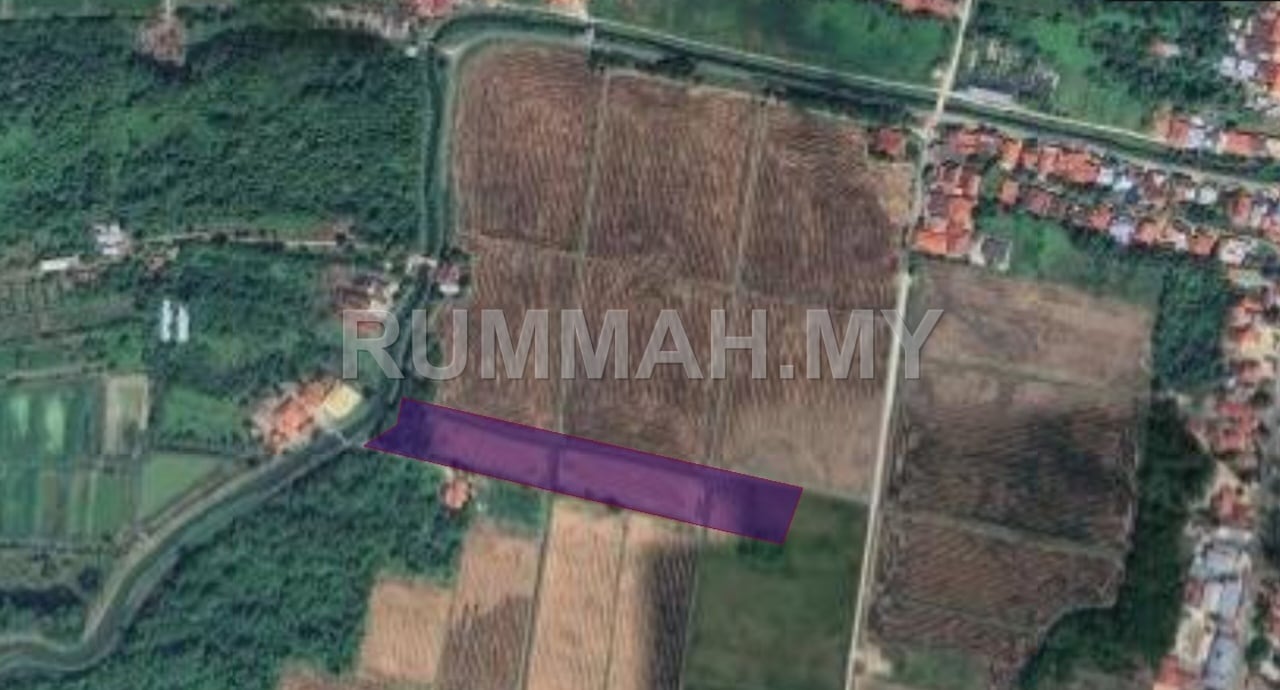 land in Sungai Burong, Penang for sale - Agricultural Land for Sale @ Sungai Burong, Balik Pulau | Freehold