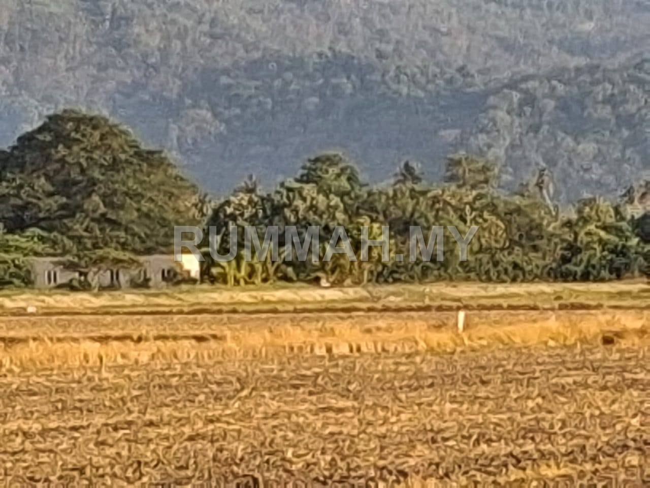 land in Sungai Burong, Pulau Pinang — photo 3