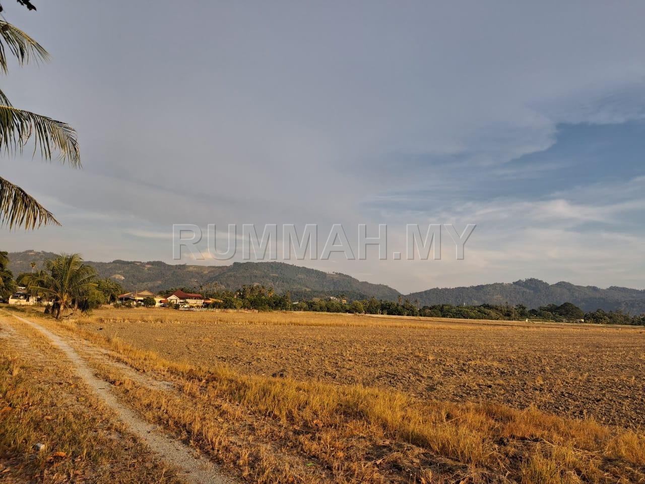 land in Sungai Burong, Pulau Pinang — photo 4