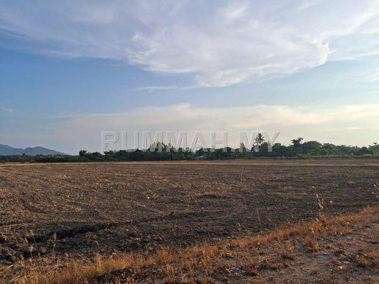land in Sungai Burong, Pulau Pinang — photo 5
