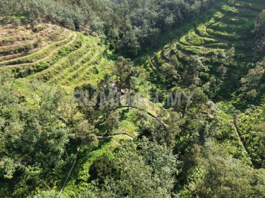 land in kulim, Kedah for rent - Durian Farm Ayer Putih Kulim 6.1 Acres 265716sqft 