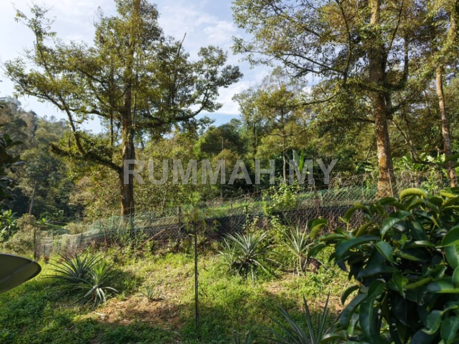 land in kulim, Kedah — photo 3