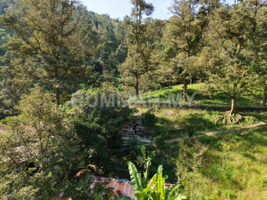 land in kulim, Kedah — photo 5