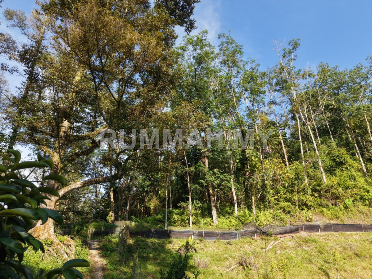 land in kulim, Kedah — photo 6