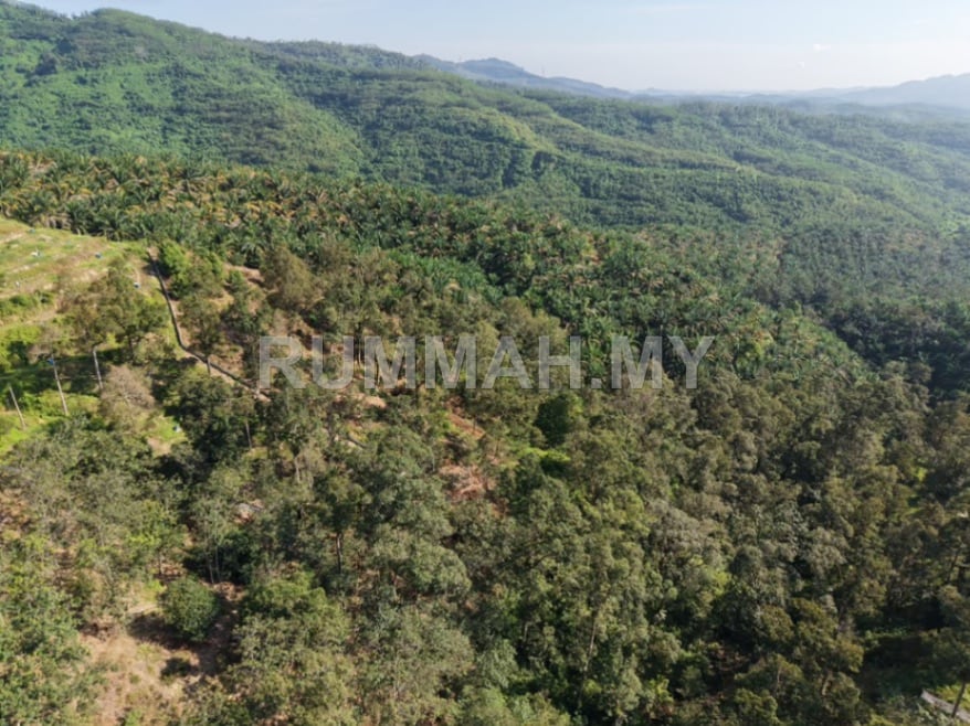 land in kulim, Kedah — photo 7