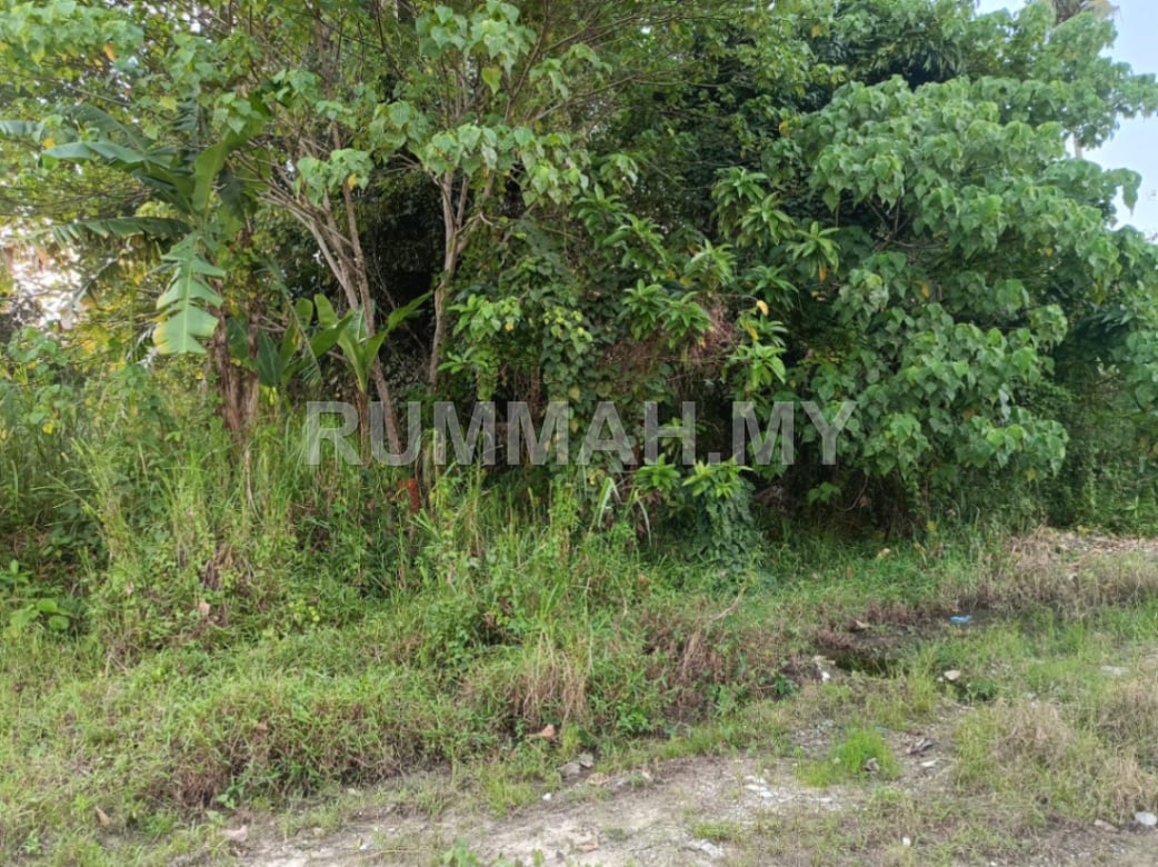 land in Balik Pulau, Pulau Pinang — photo 3