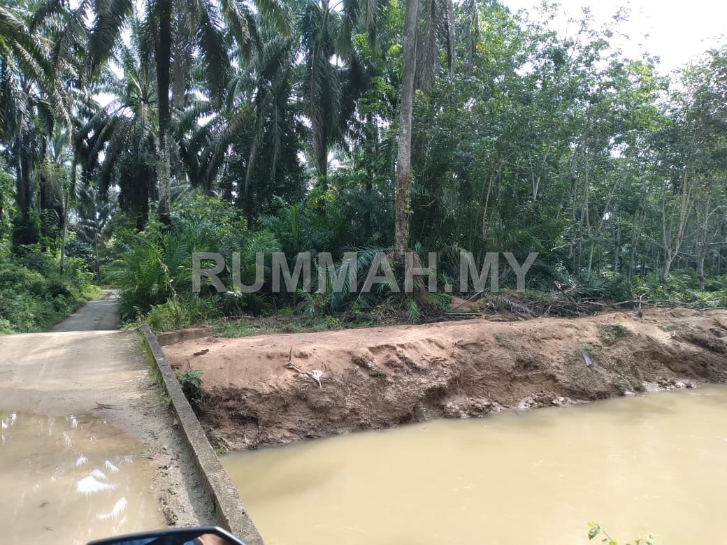 land in Bandar Baharu, Kedah — photo 2