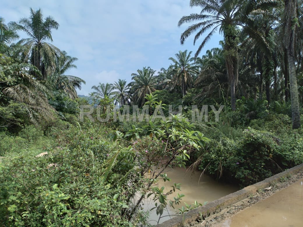 land in Bandar Baharu, Kedah — photo 3