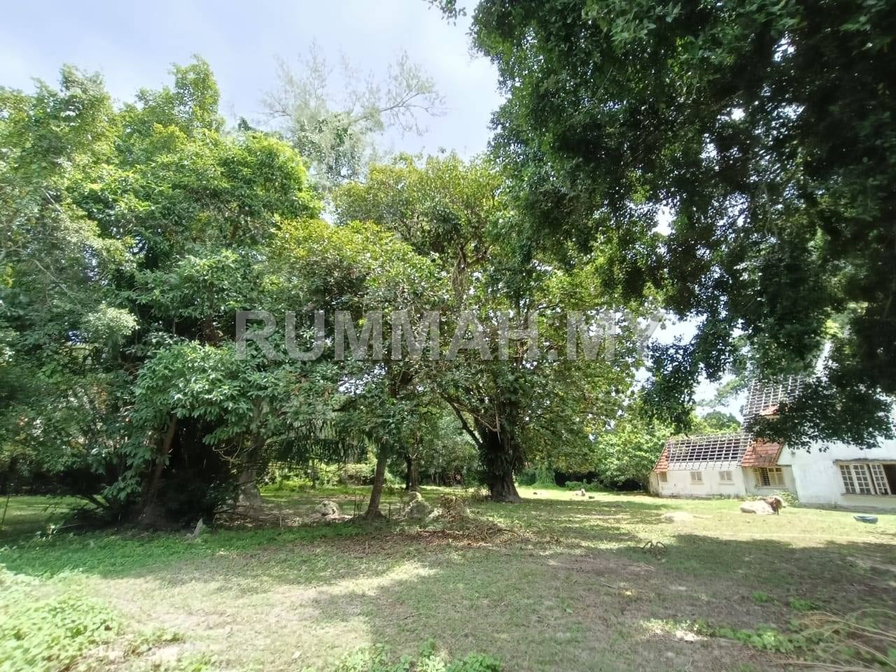 house in Pulau Tikus, Penang — photo 3