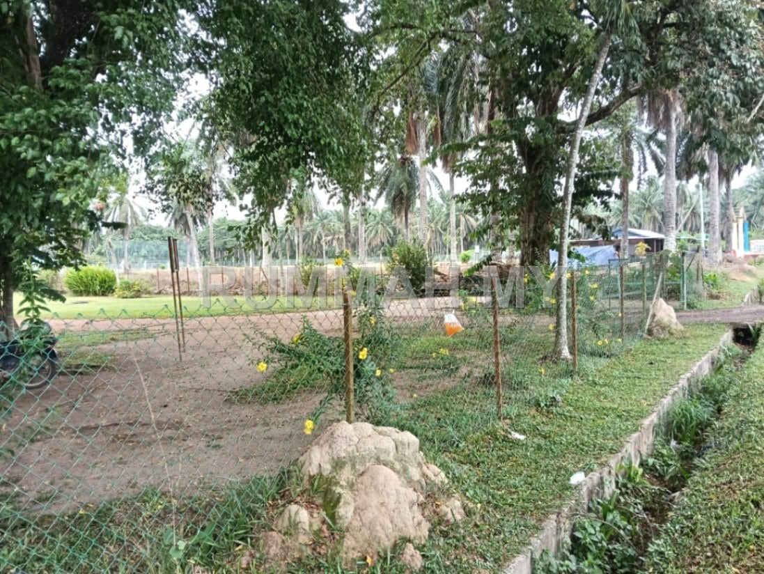 land in Tasek Gelugor, Penang — photo 3