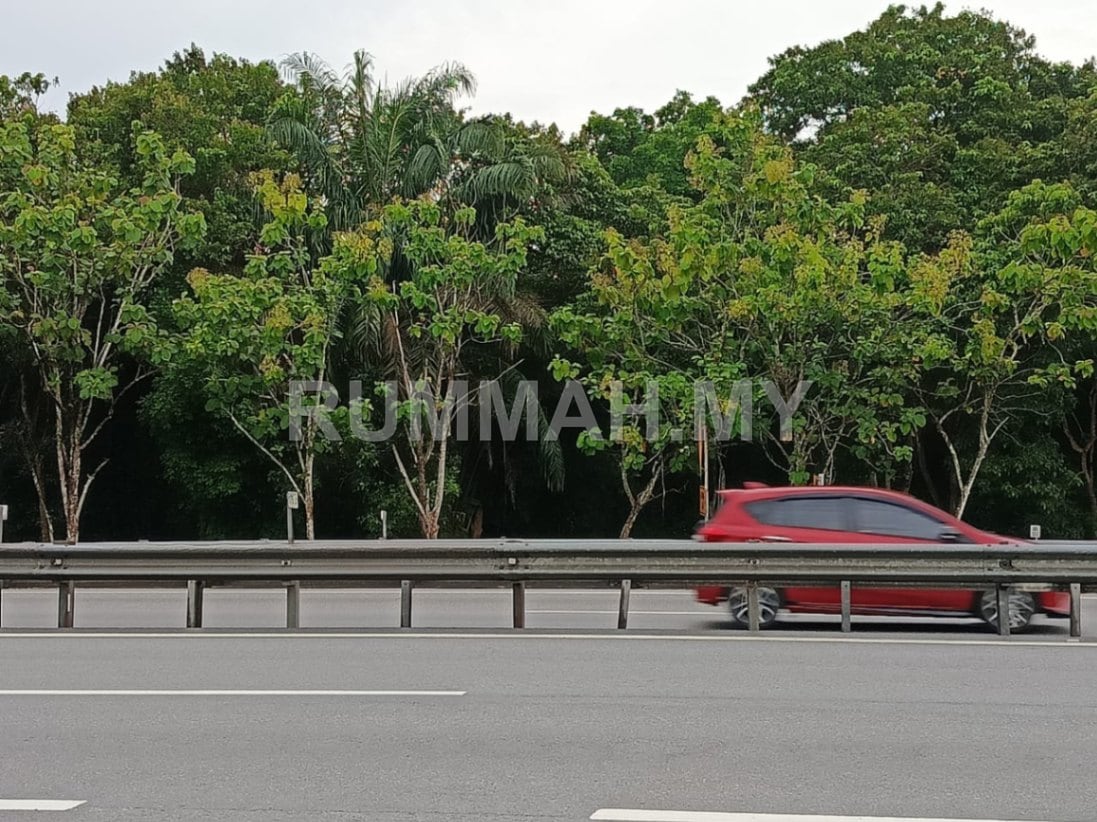 land in Bandar Baharu, Kedah — photo 3