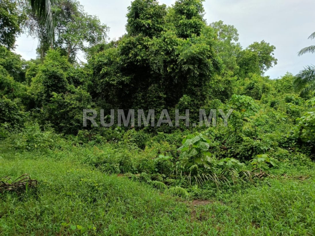 land in Bandar Baharu, Kedah — photo 4