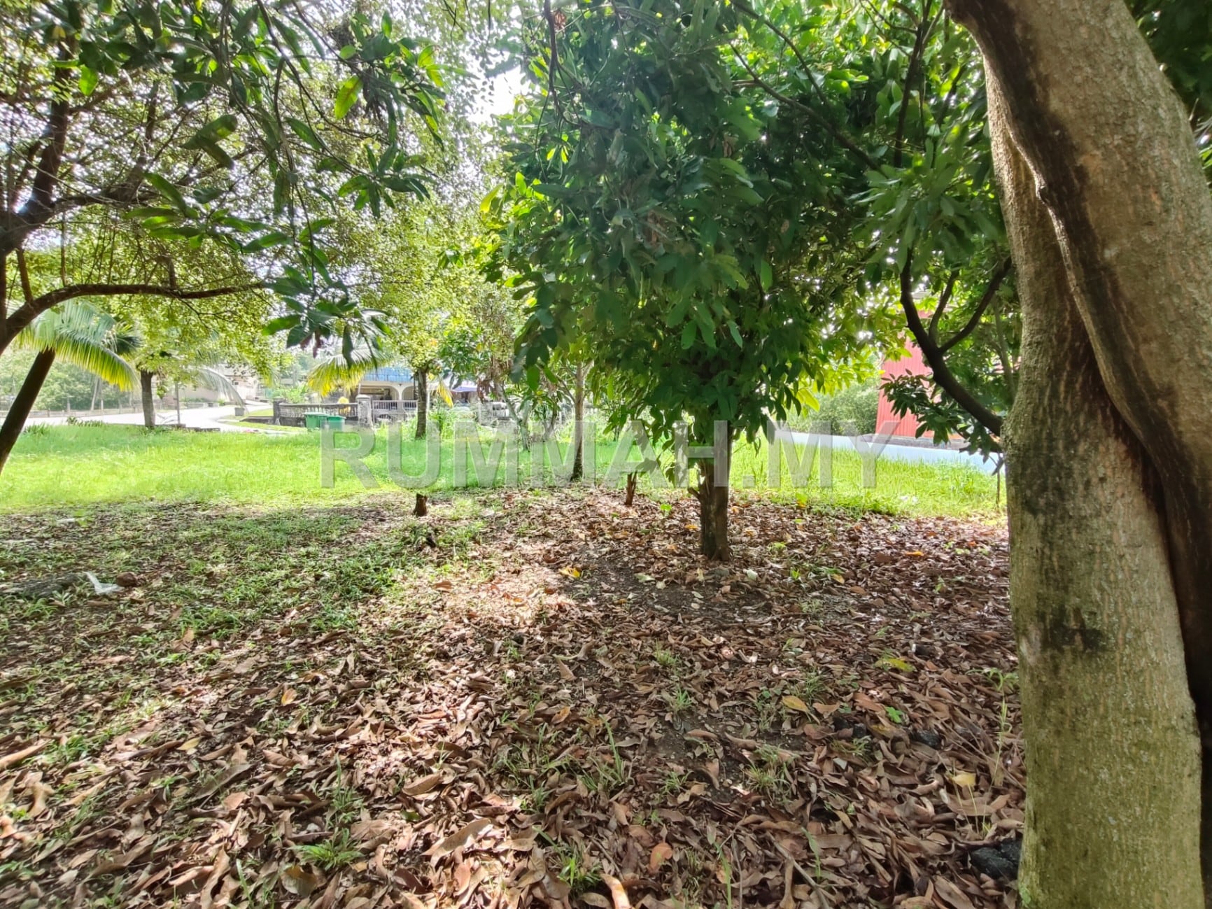 land in Kampung Melayu Subang, Selangor — photo 5