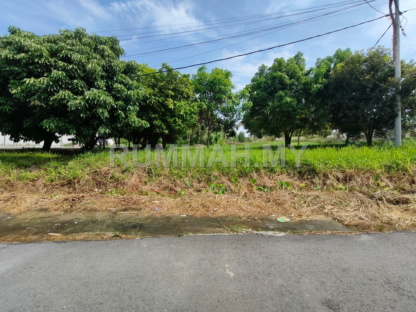 land in Kampung Melayu Subang, Selangor — photo 6