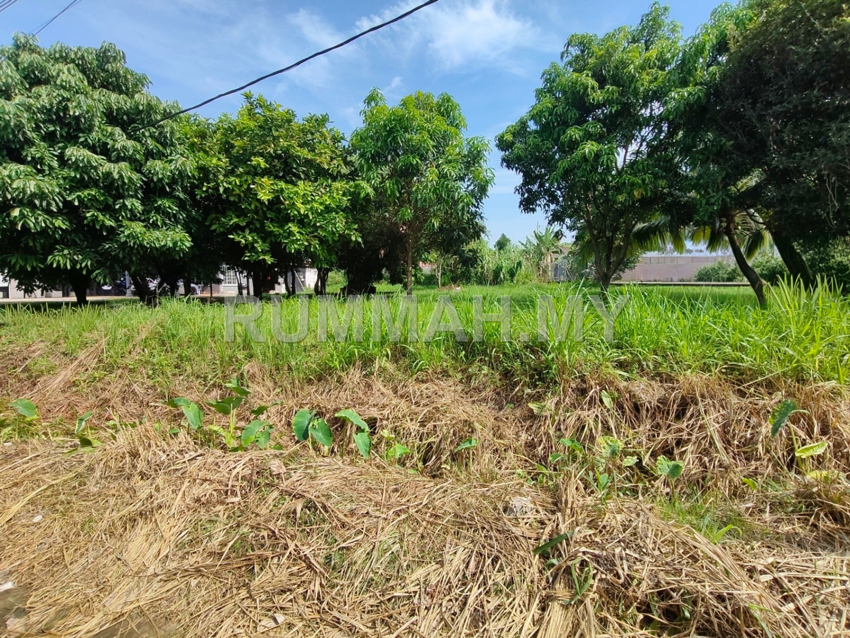 land in Kampung Melayu Subang, Selangor — photo 7