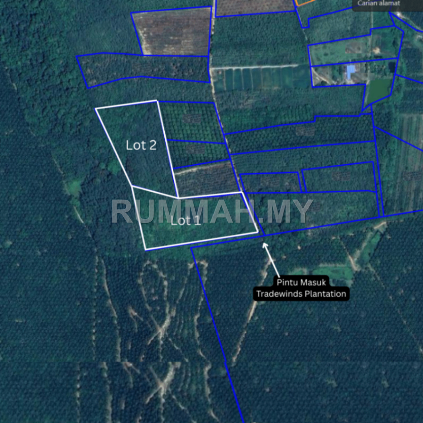 land in Padang Terap, Kedah — photo 2