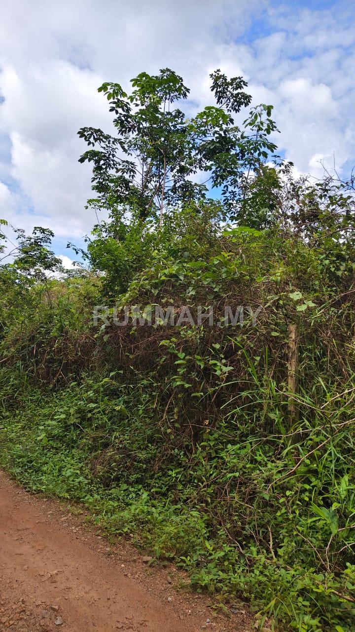 land in Padang Terap, Kedah — photo 4