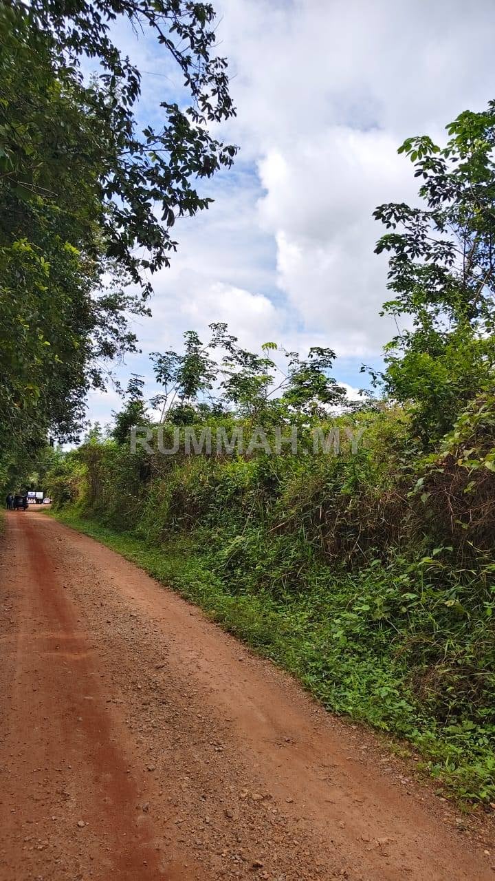 land in Padang Terap, Kedah — photo 5