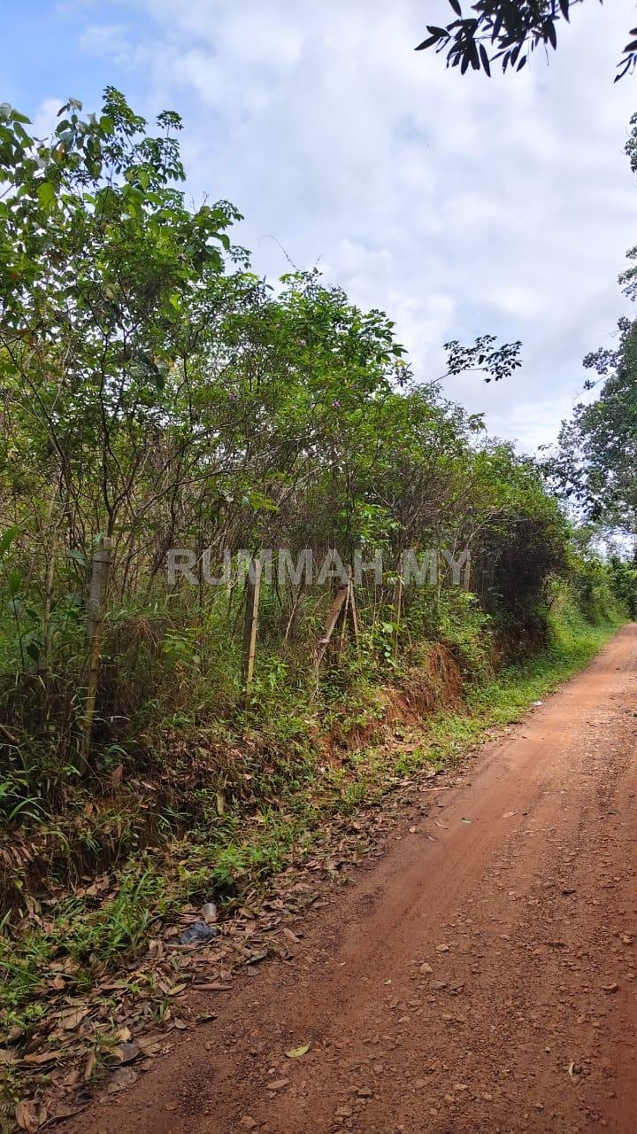 land in Padang Terap, Kedah — photo 6