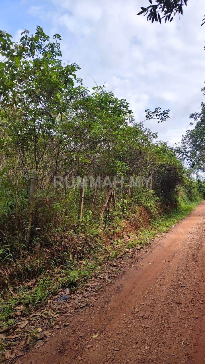 land in Padang Terap, Kedah — photo 7